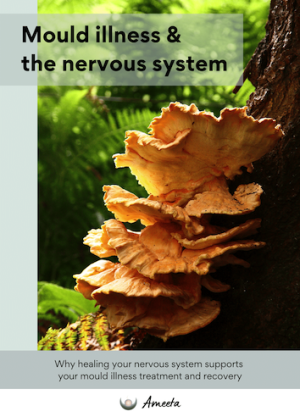 Mould illness and the nervous system copy